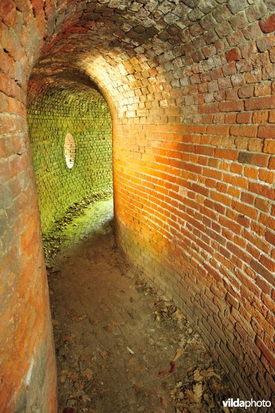Fort 6