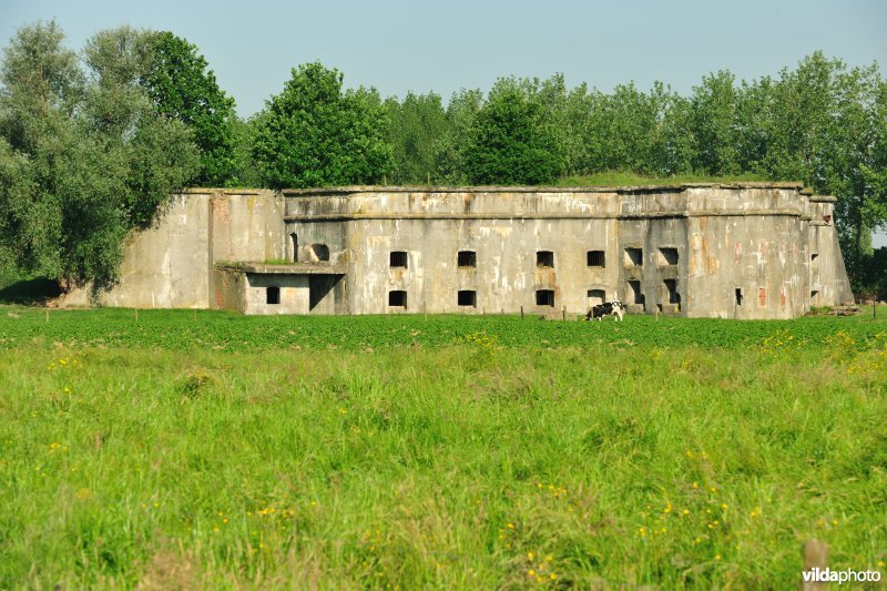 Schans Lauwershoek