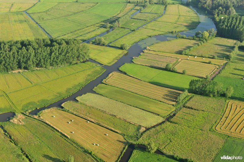 Oude Schelde en Scherenmeersen