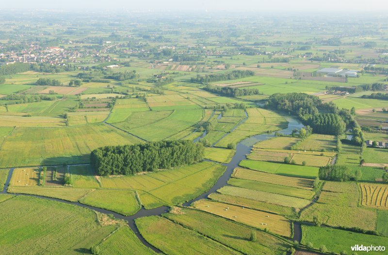 Oude Schelde en Scherenmeersen