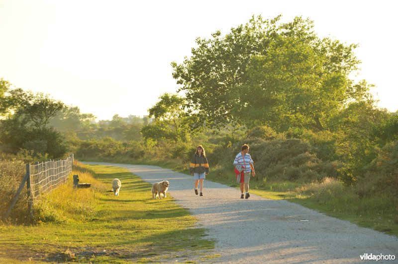 Wandelen in de Doornpanne