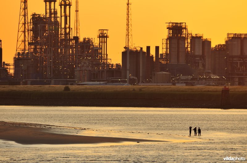 Pootjebaden op Sint-Annastrand