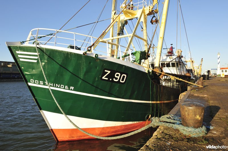 Vissersboot in de haven van Oostende