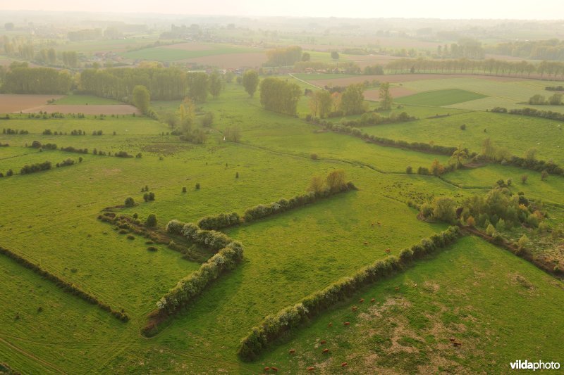Moenebroek