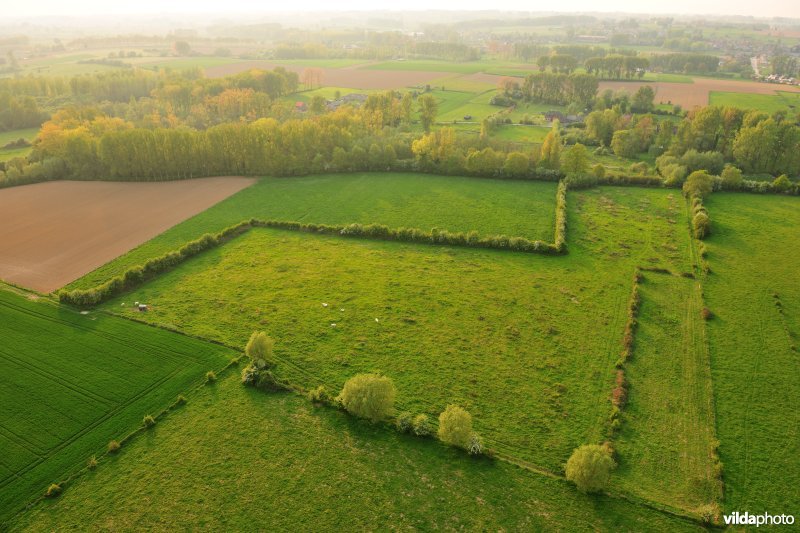 Moenebroek