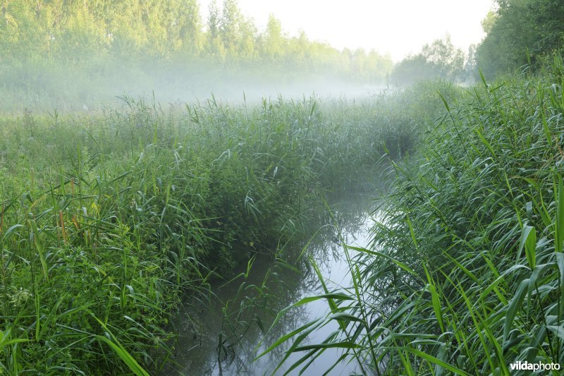 Vlassenbroekse Polders