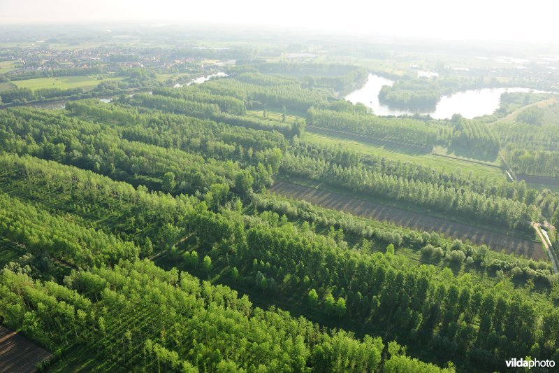 Vlassenbroekse Polders