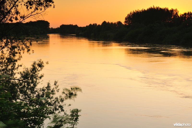 De Schelde aan de Vlassenbroekse Polders