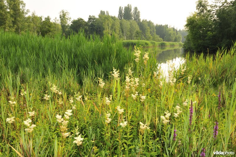 Natuurreservaat Torfbroek