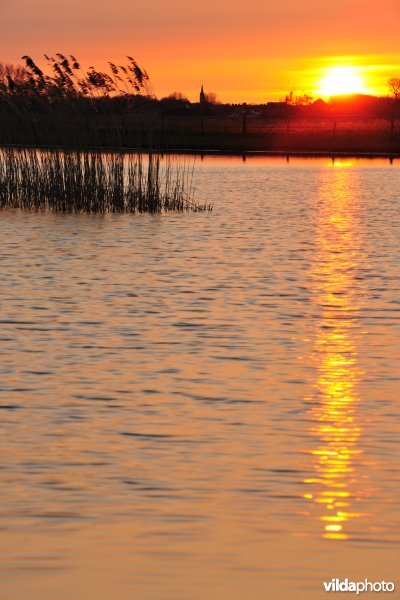 Natuurreservaat Putten West