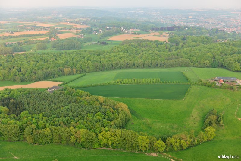 Hotondberg in de Vlaamse Ardennen