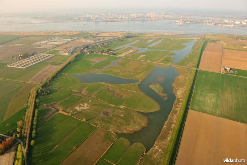 Doelpolder Noord