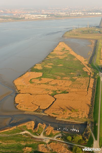 Paardenschor in Doel