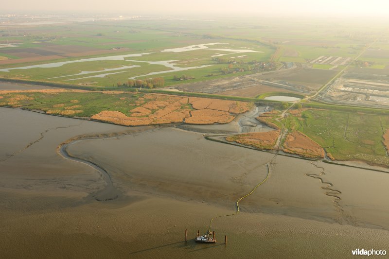 Paardenschor in Doel