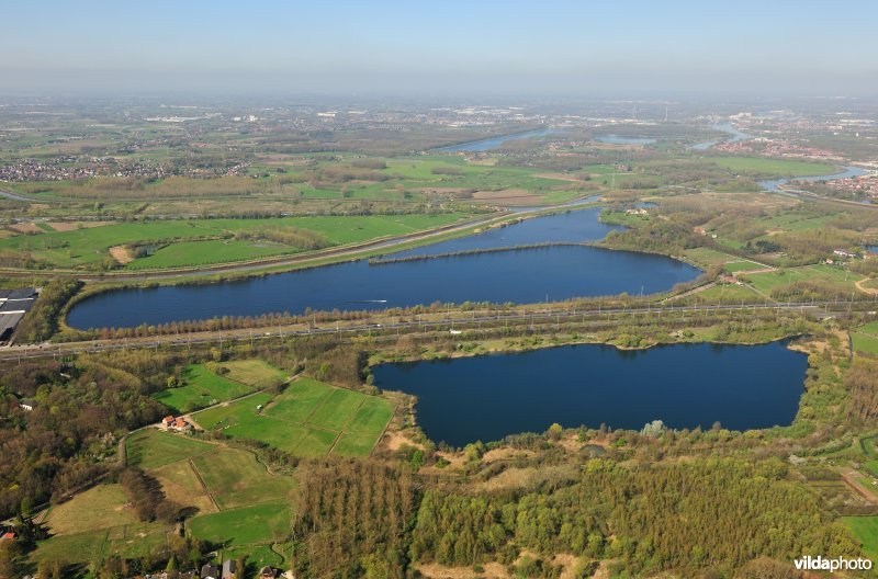 Grote vijver