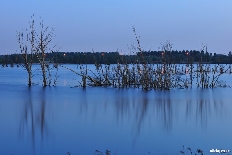 Verrebroekse plassen