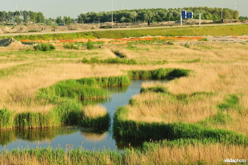 Steenlandpolder