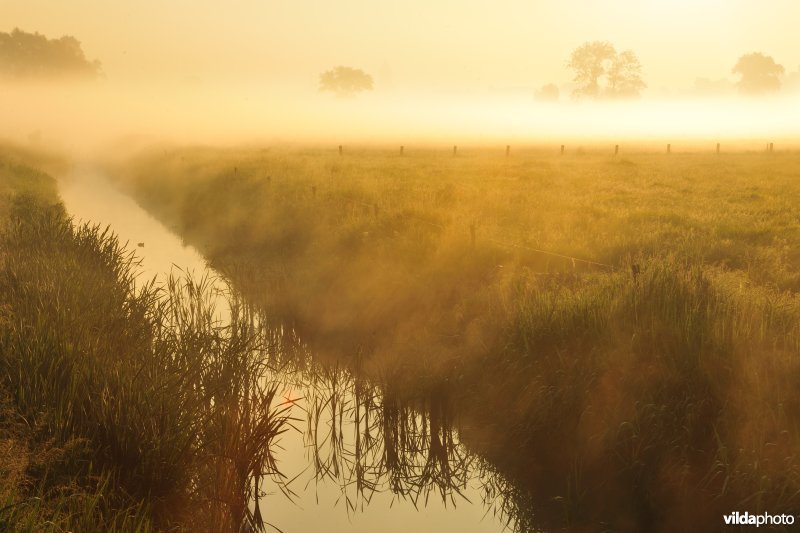 Rijtgracht in de Langemeersen