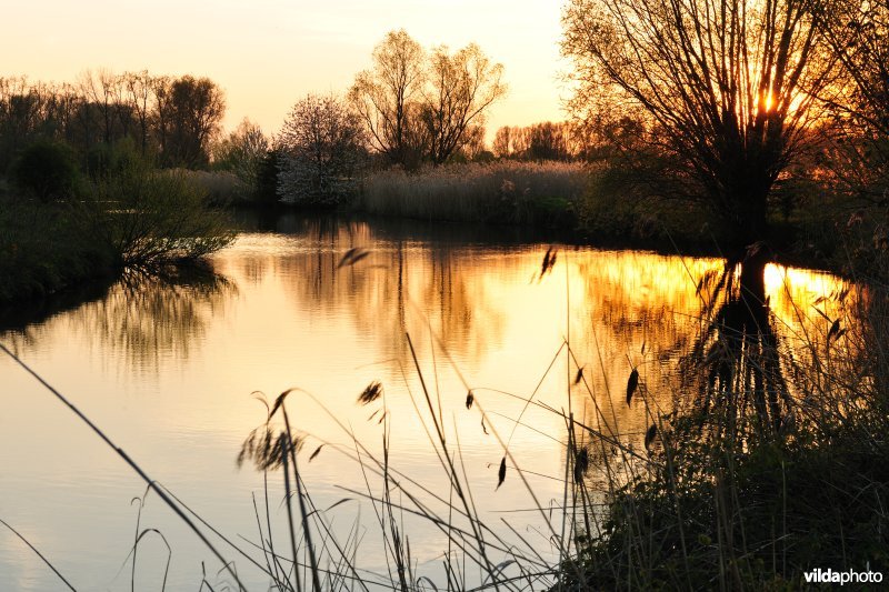 Leie in de Bourgoyen