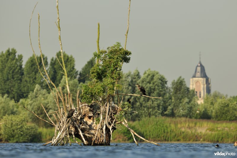 Verrebroekse plassen