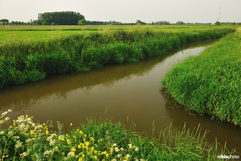 IJzervallei in Vleteren