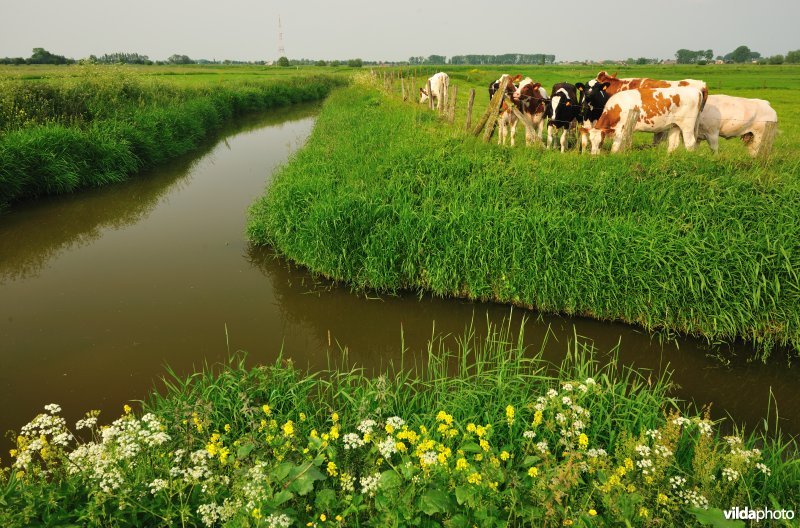 IJzervallei in Vleteren