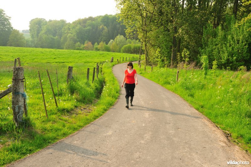 Wandelen in de Vlaamse Ardennen