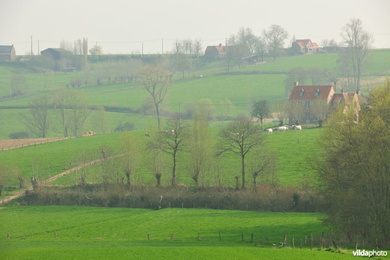 Vlaamse Ardennen