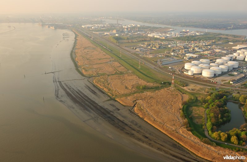 Galgenschoor aan de Schelde