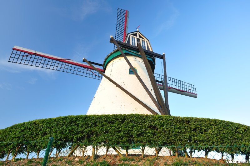 Brouckmolen