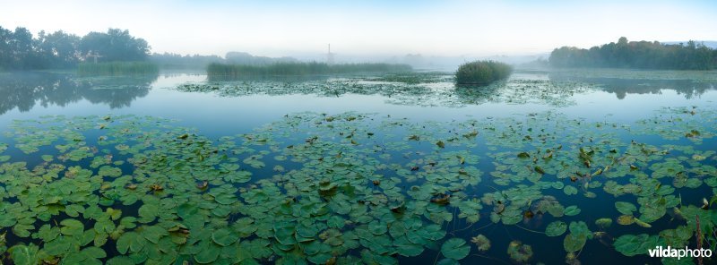 Panorama Loenderveense Plas