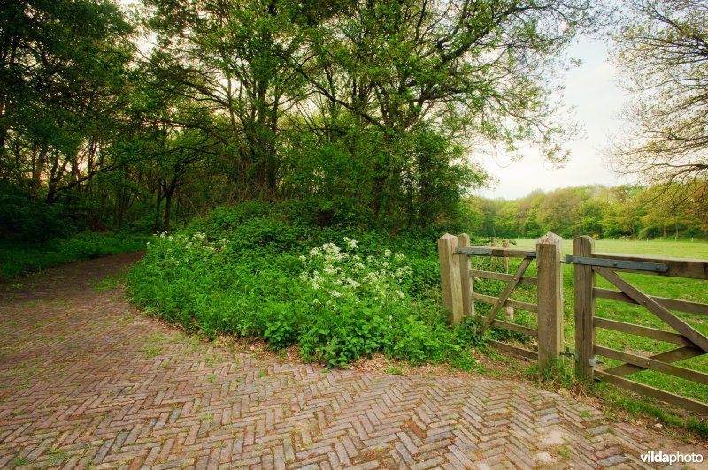 Houten hek en klaphekje