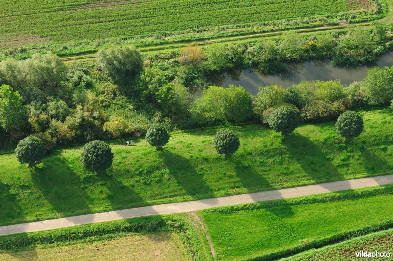 Cauwensteinse dijk