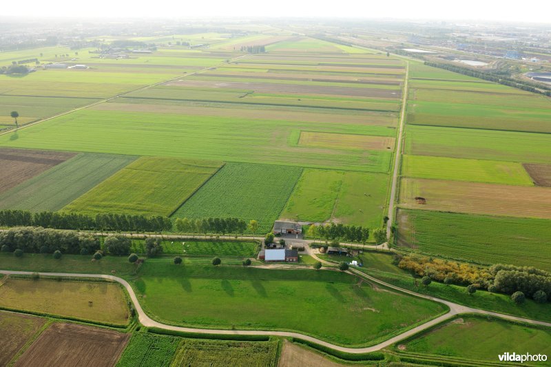 Cauwensteinse dijk