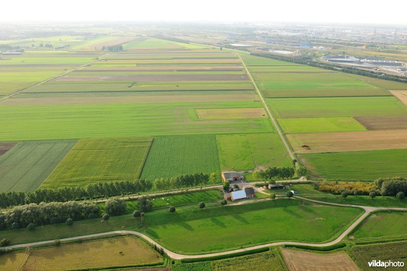Cauwensteinse dijk