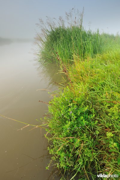 Oude IJzer in Elzendamme