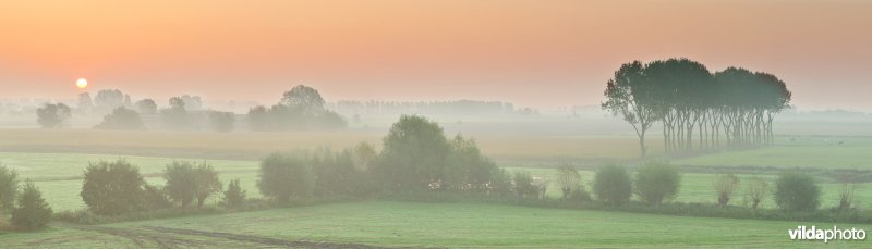 Polders achter de Oosthoekduinen