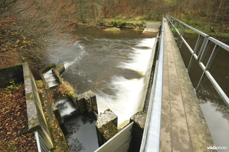 Vistrap op de Ourthe