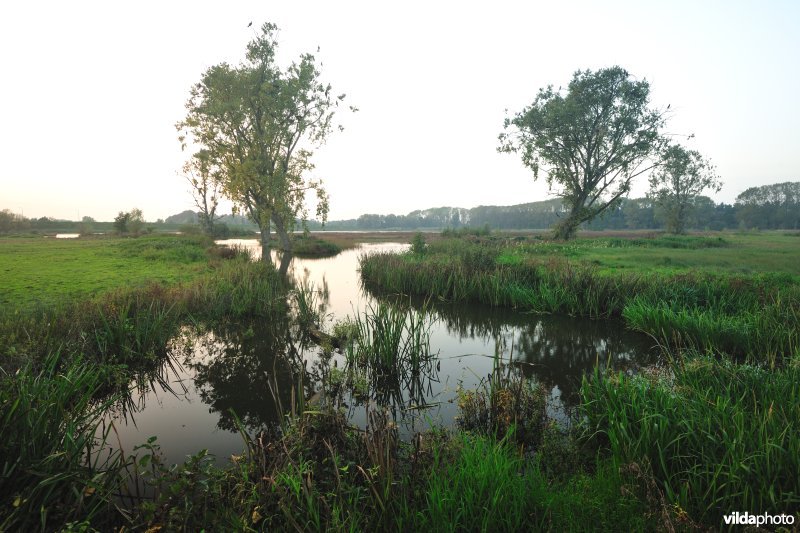 Natuurreservaat Bourgoyen