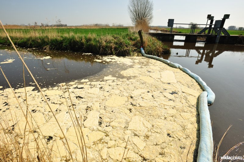 Vervuiling in de Stenensluisvaart