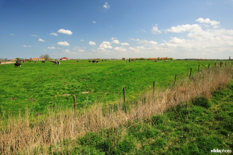 Archeologische site Walleweede