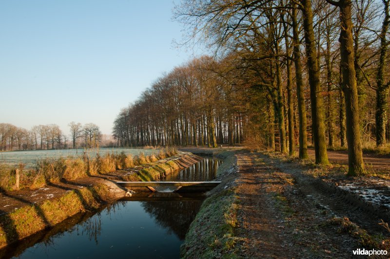 Stuw in de gekanaliseerde Leuvenheimse Beek