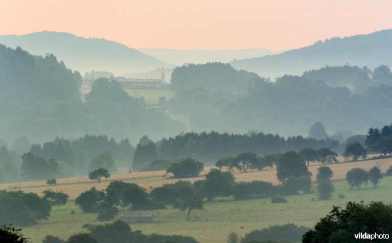 Ochtendnevel in de Viroinvallei