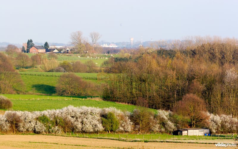 Landschap met kleine landschapselementen