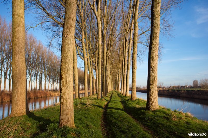 Het Schipdonkkanaal en het Leopoldkanaal