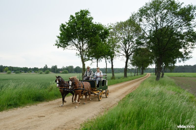 Rijtuig met tweespan