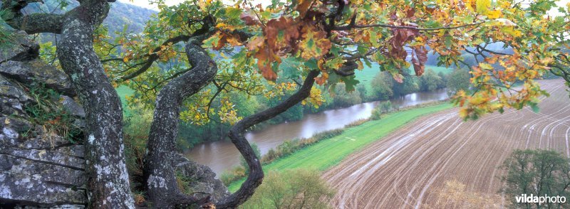 Vallei van de Ourthe