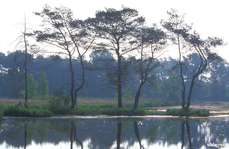 Natuurreservaat Buitengoor