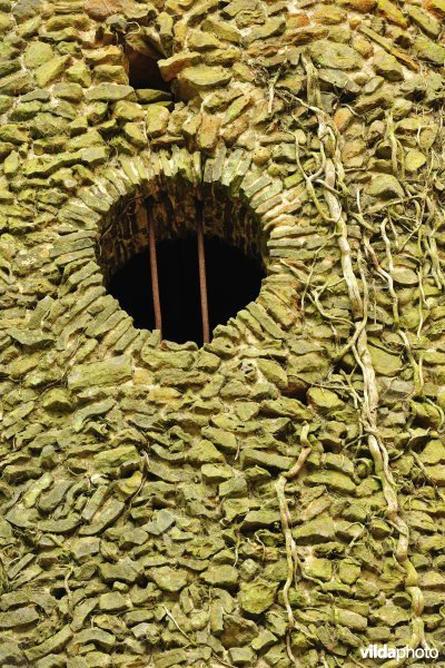 Geuzentoren in het Muziekbos