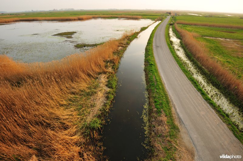 Uitkerkse Polders